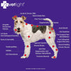 VETLIGHT® Red & Infrared LED Therapy for Pets with DeepPower™ by Shine®