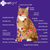 VETLIGHT® Red & Infrared LED Therapy for Pets with DeepPower™ by Shine®