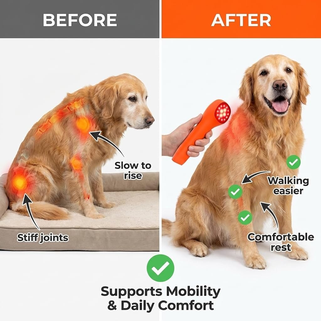 SHINE VETLIGHT® Pro Red & Infrared LED Therapy for Animals with DeepPower