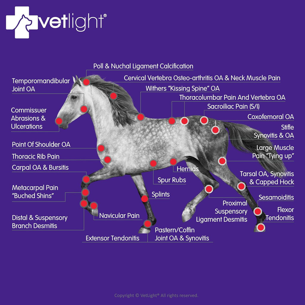 VETLIGHT® Red & Infrared LED Therapy for Pets with DeepPower™ by Shine®