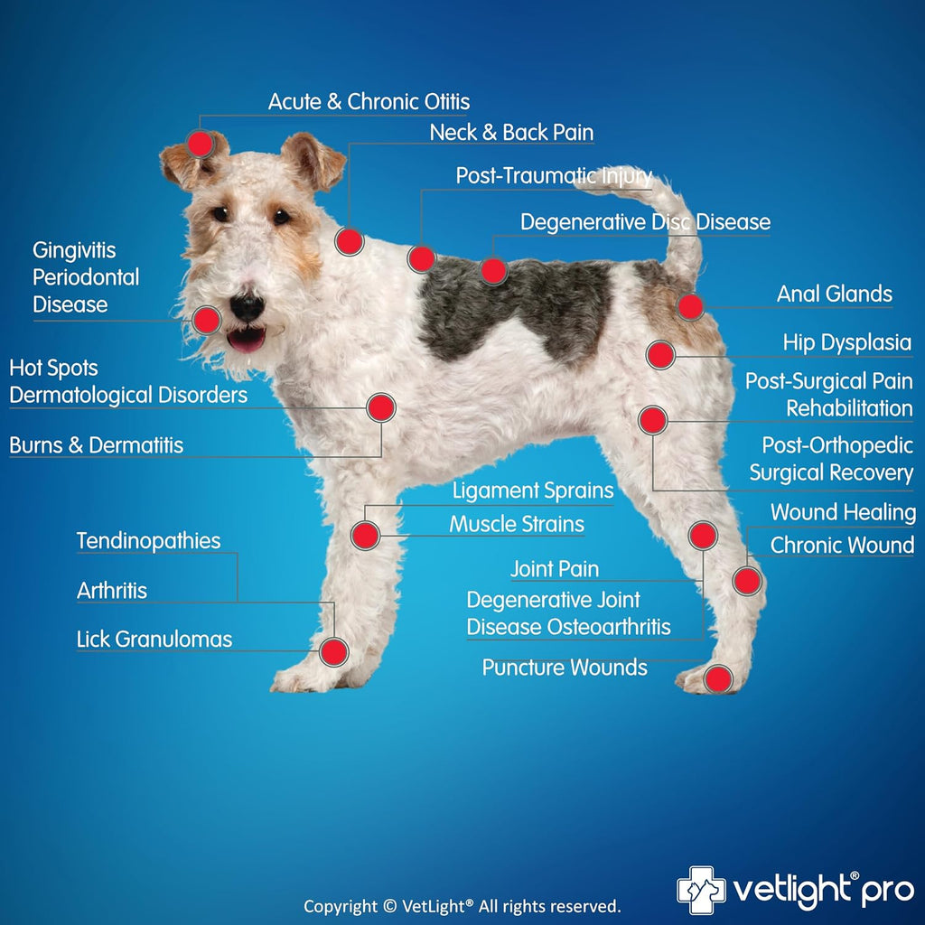 SHINE VETLIGHT® Pro Red & Infrared LED Therapy for Animals with DeepPower