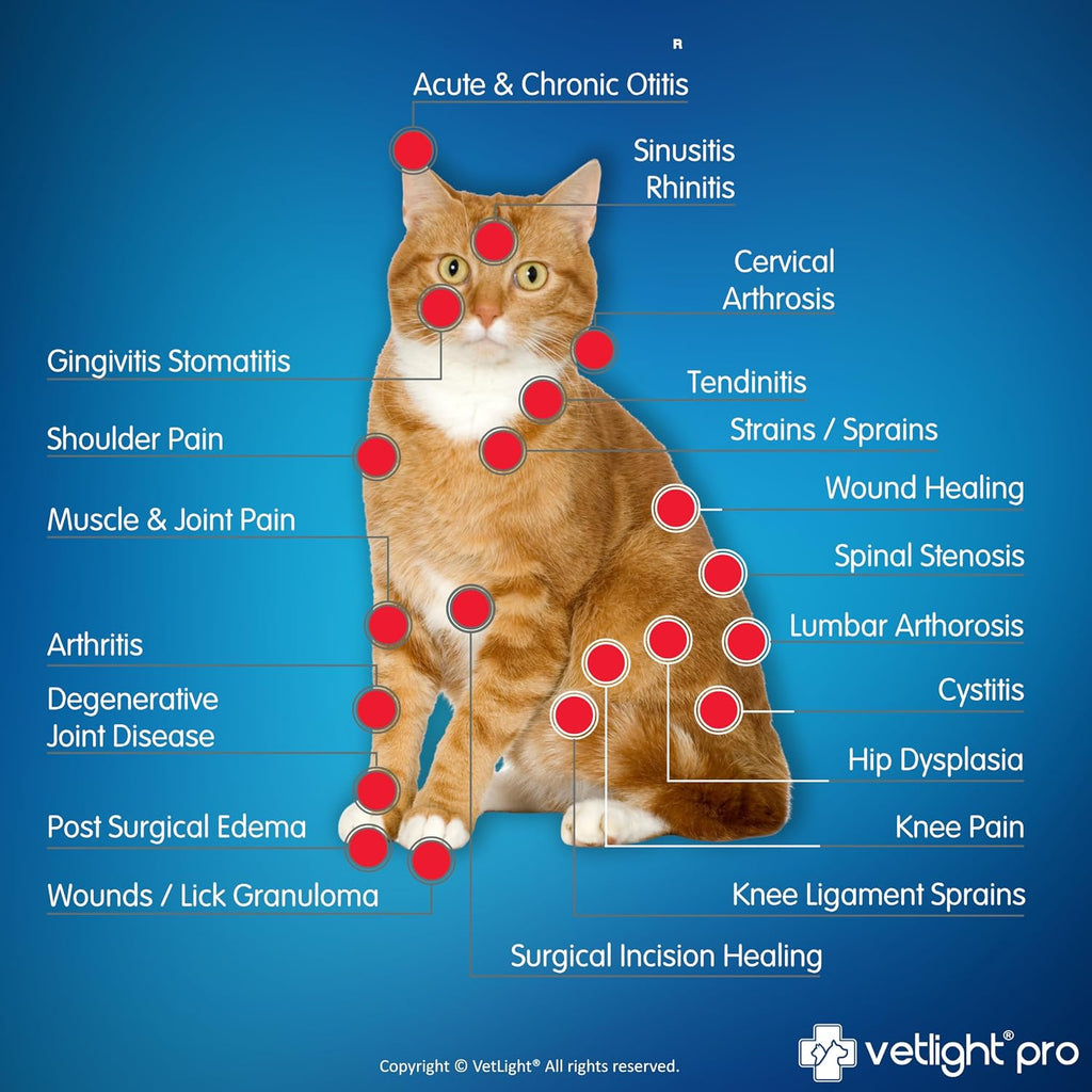 SHINE VETLIGHT® Pro Red & Infrared LED Therapy for Animals with DeepPower