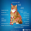 SHINE VETLIGHT® Pro Red & Infrared LED Therapy for Animals with DeepPower