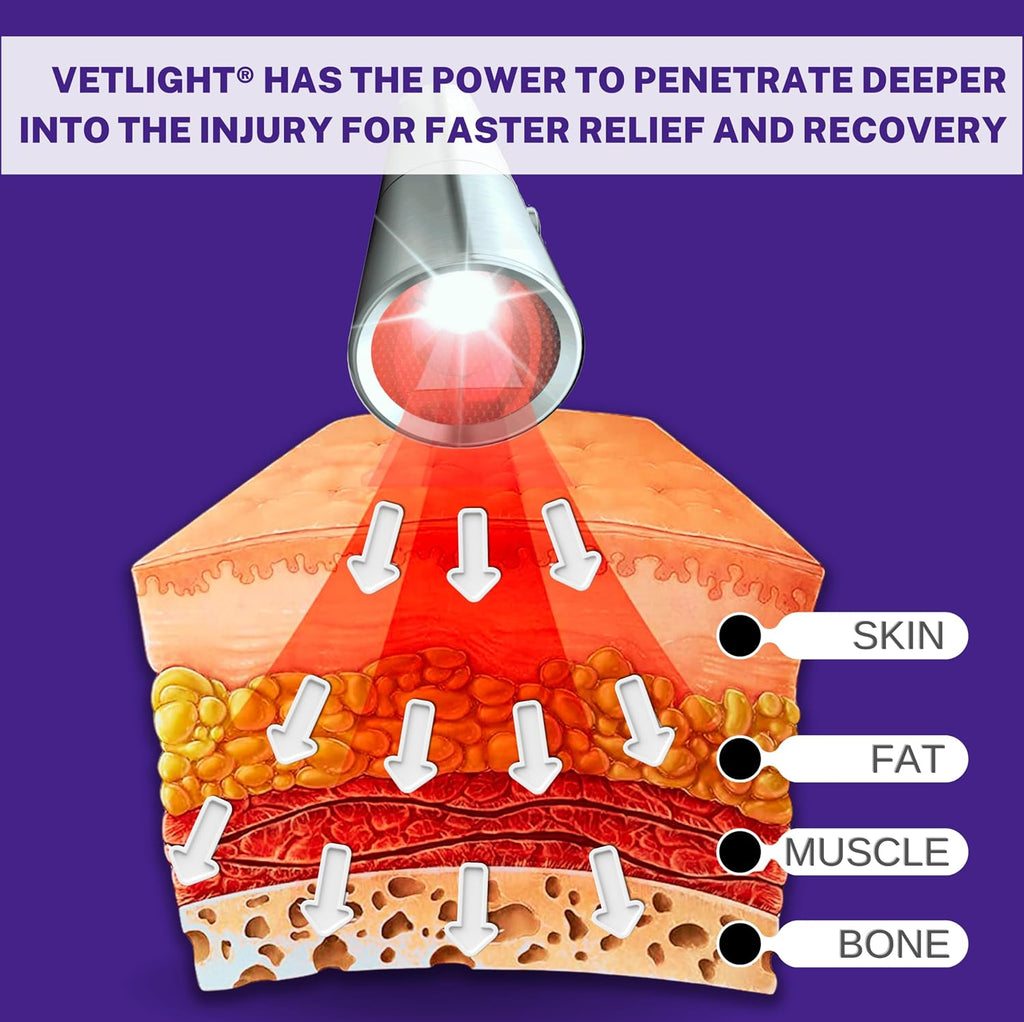 VETLIGHT® Red & Infrared LED Therapy for Pets with DeepPower™ by Shine®
