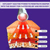 VETLIGHT® Red & Infrared LED Therapy for Pets with DeepPower™ by Shine®